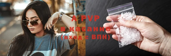 a pvp Белокуриха